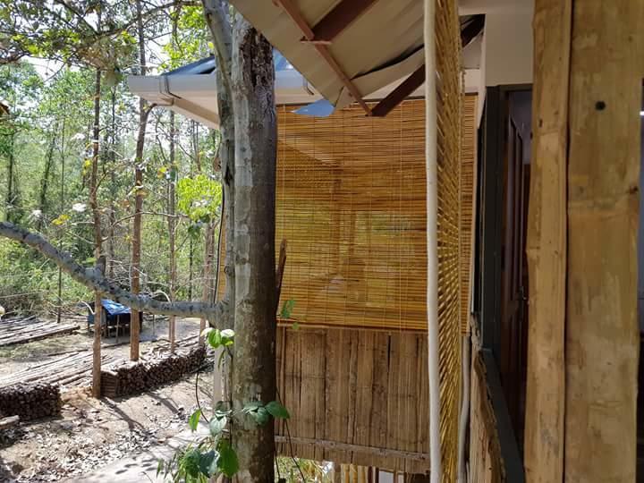 Ponmudi Valley Resorts Exterior foto