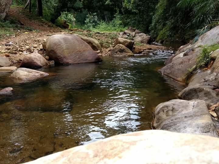 Ponmudi Valley Resorts Exterior foto
