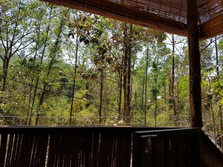 Ponmudi Valley Resorts Exterior foto